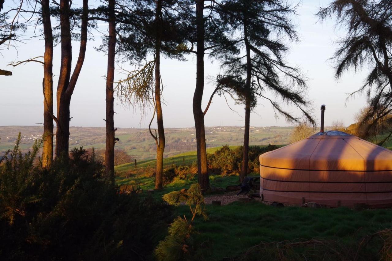 Penbedw Uchaf Estate - Rural Retreats, Tennis مولد المظهر الخارجي الصورة