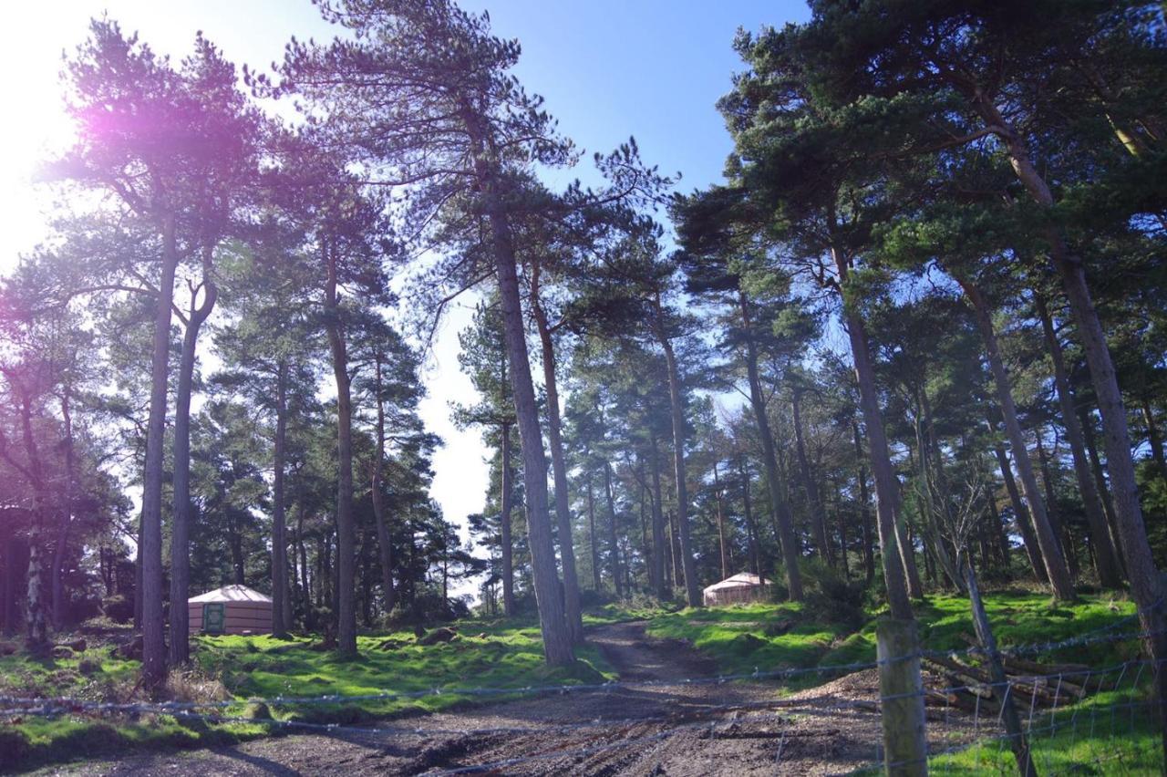 Penbedw Uchaf Estate - Rural Retreats, Tennis مولد المظهر الخارجي الصورة