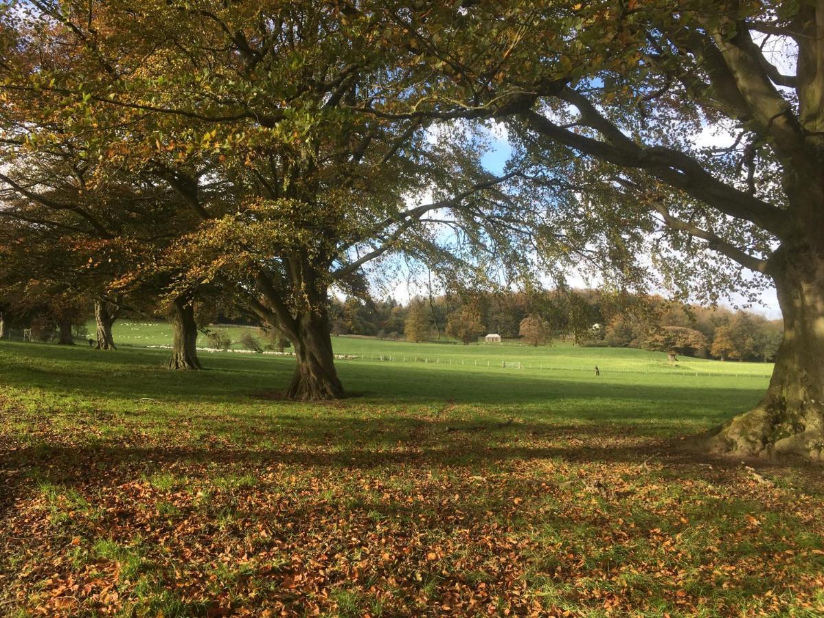 Penbedw Uchaf Estate - Rural Retreats, Tennis مولد المظهر الخارجي الصورة