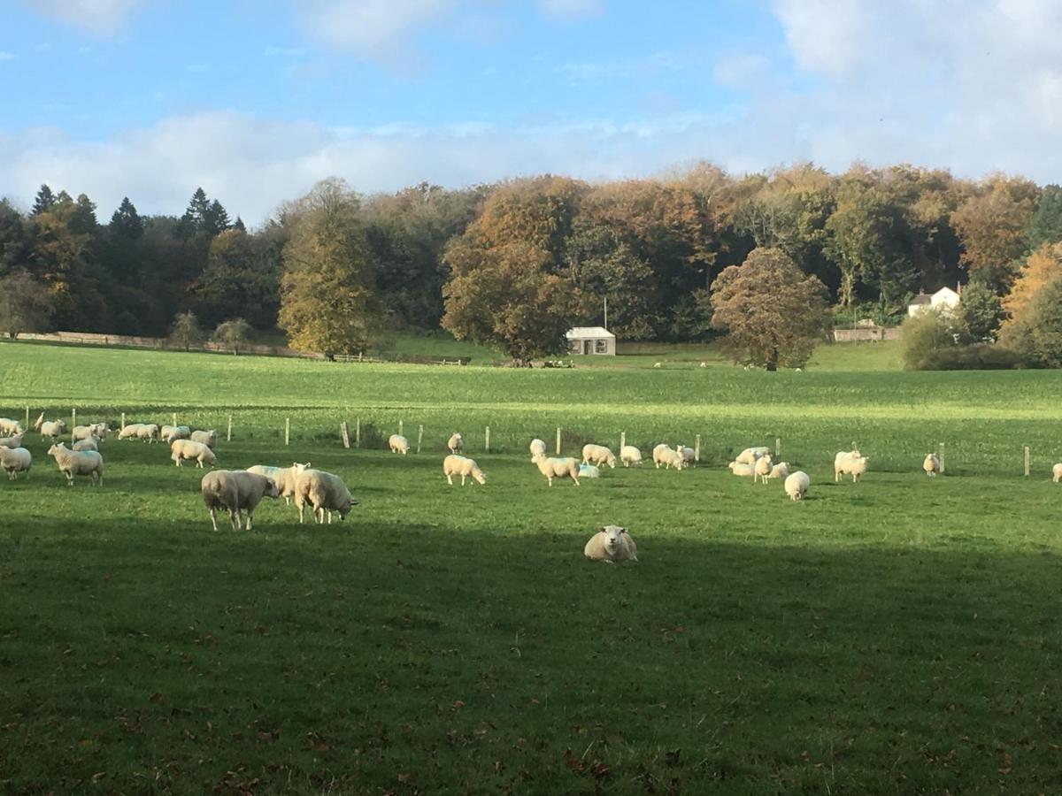 Penbedw Uchaf Estate - Rural Retreats, Tennis مولد المظهر الخارجي الصورة